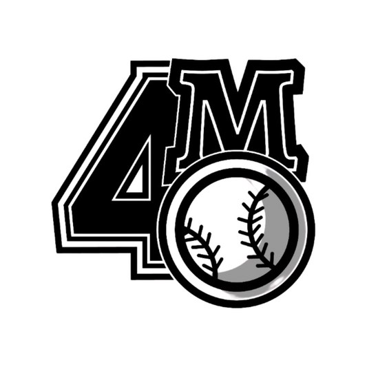 4More Personalized Baseball Training & Mentorship